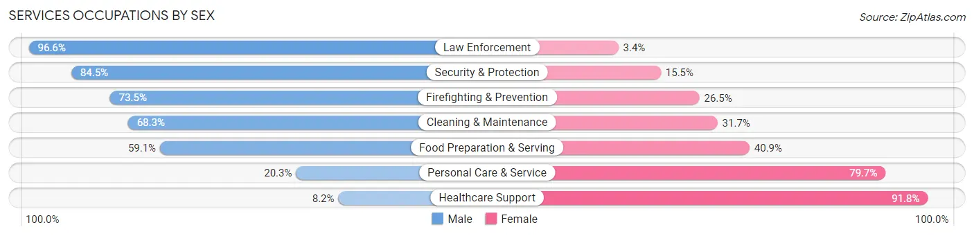 Services Occupations by Sex in Zip Code 55720