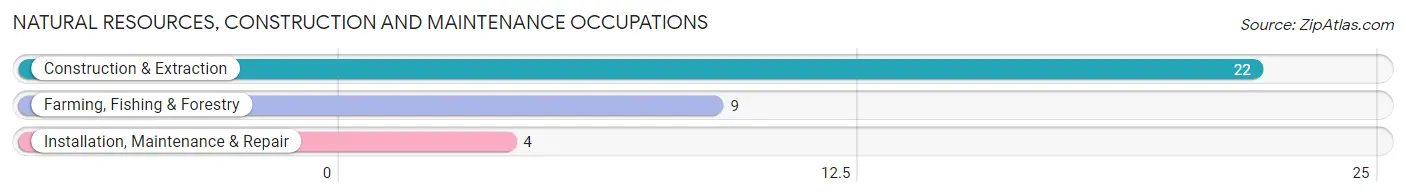 Natural Resources, Construction and Maintenance Occupations in Zip Code 55722