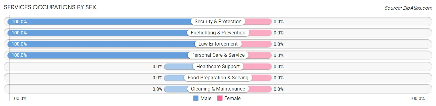 Services Occupations by Sex in Zip Code 55725