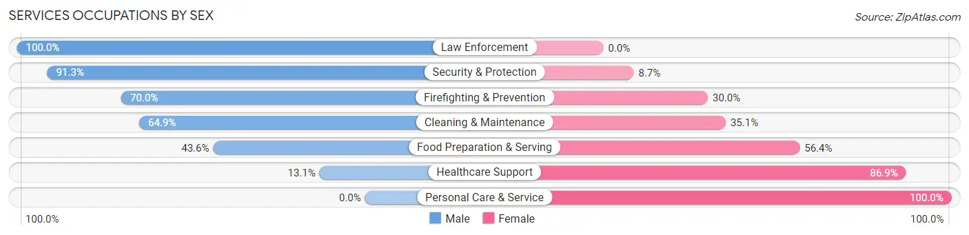 Services Occupations by Sex in Zip Code 55734