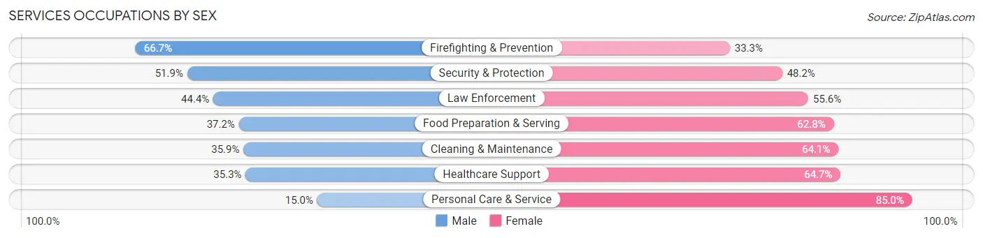 Services Occupations by Sex in Zip Code 55735