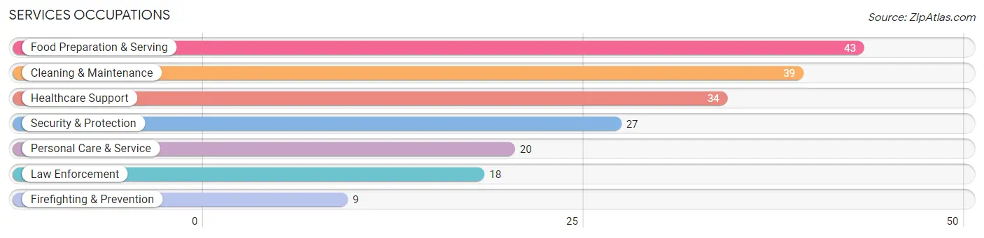 Services Occupations in Zip Code 55735