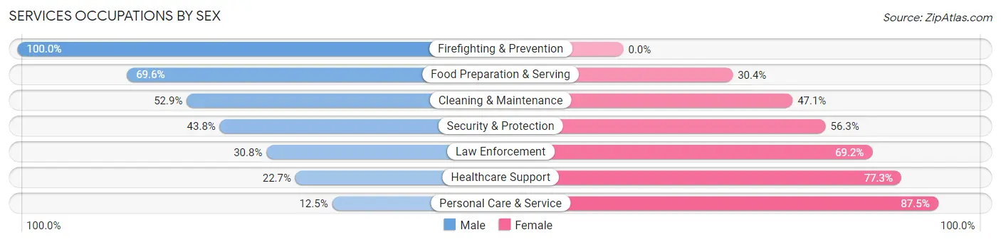 Services Occupations by Sex in Zip Code 55748