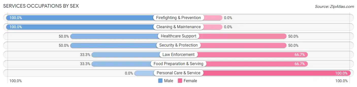 Services Occupations by Sex in Zip Code 55752