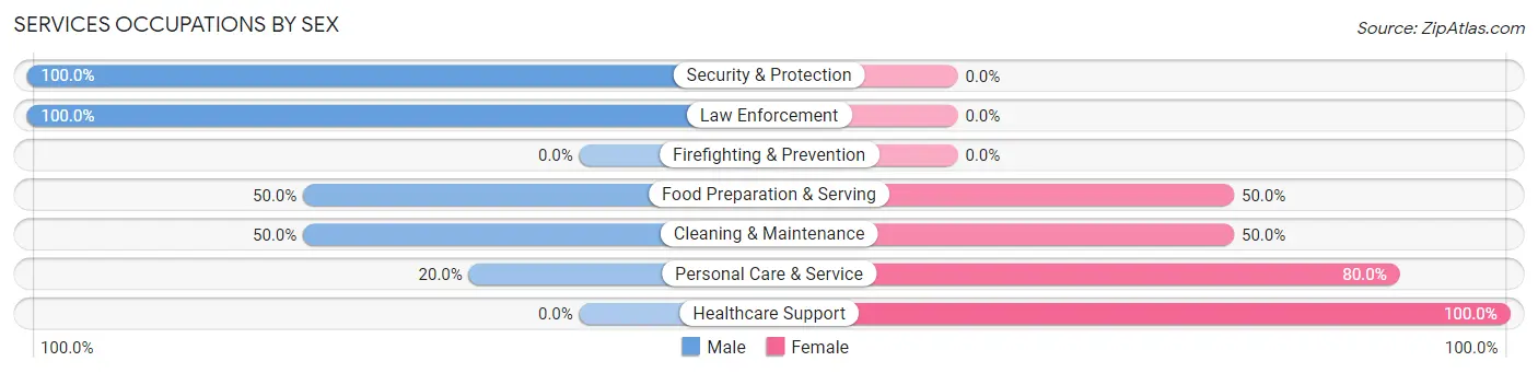 Services Occupations by Sex in Zip Code 55756