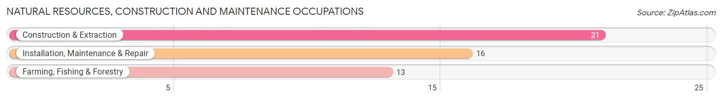 Natural Resources, Construction and Maintenance Occupations in Zip Code 55757