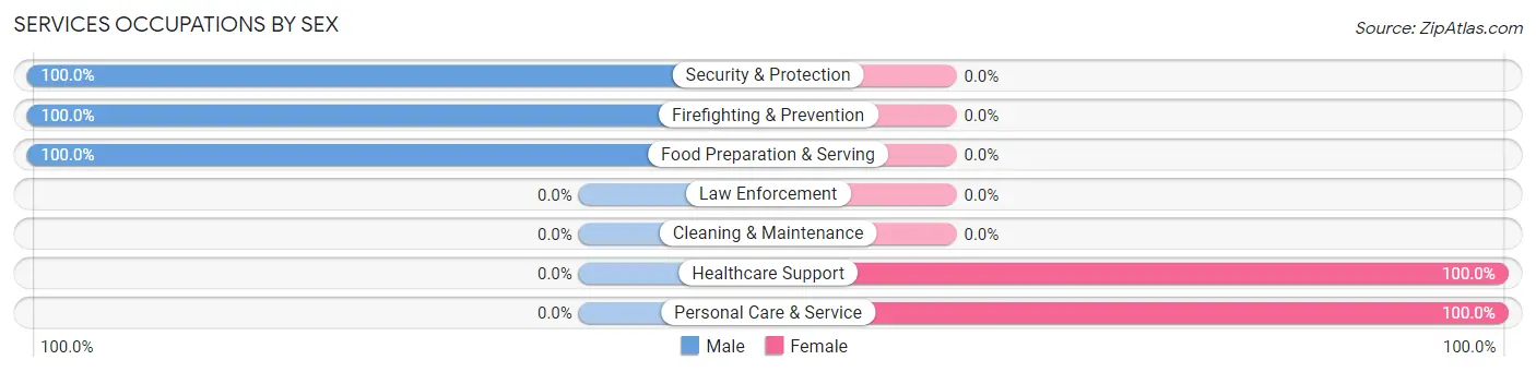 Services Occupations by Sex in Zip Code 55763