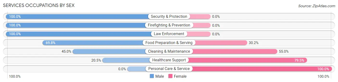 Services Occupations by Sex in Zip Code 55769