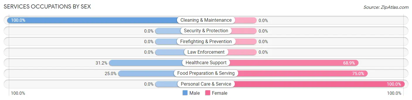 Services Occupations by Sex in Zip Code 55775
