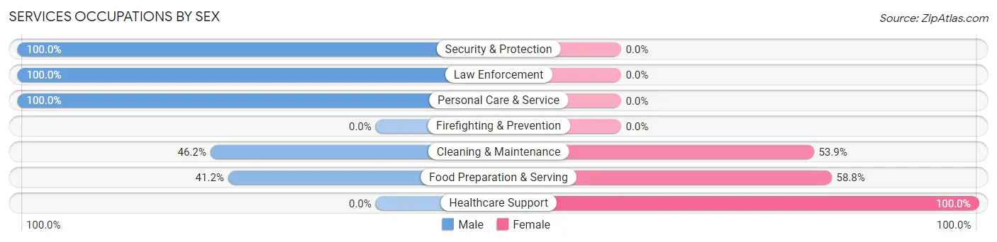 Services Occupations by Sex in Zip Code 55782