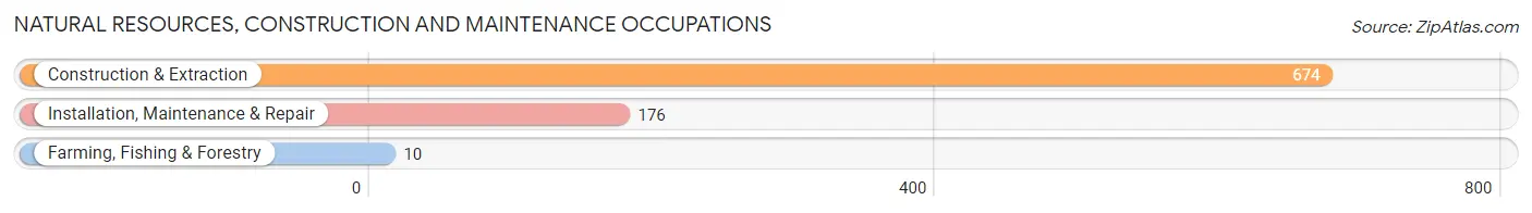 Natural Resources, Construction and Maintenance Occupations in Zip Code 55803