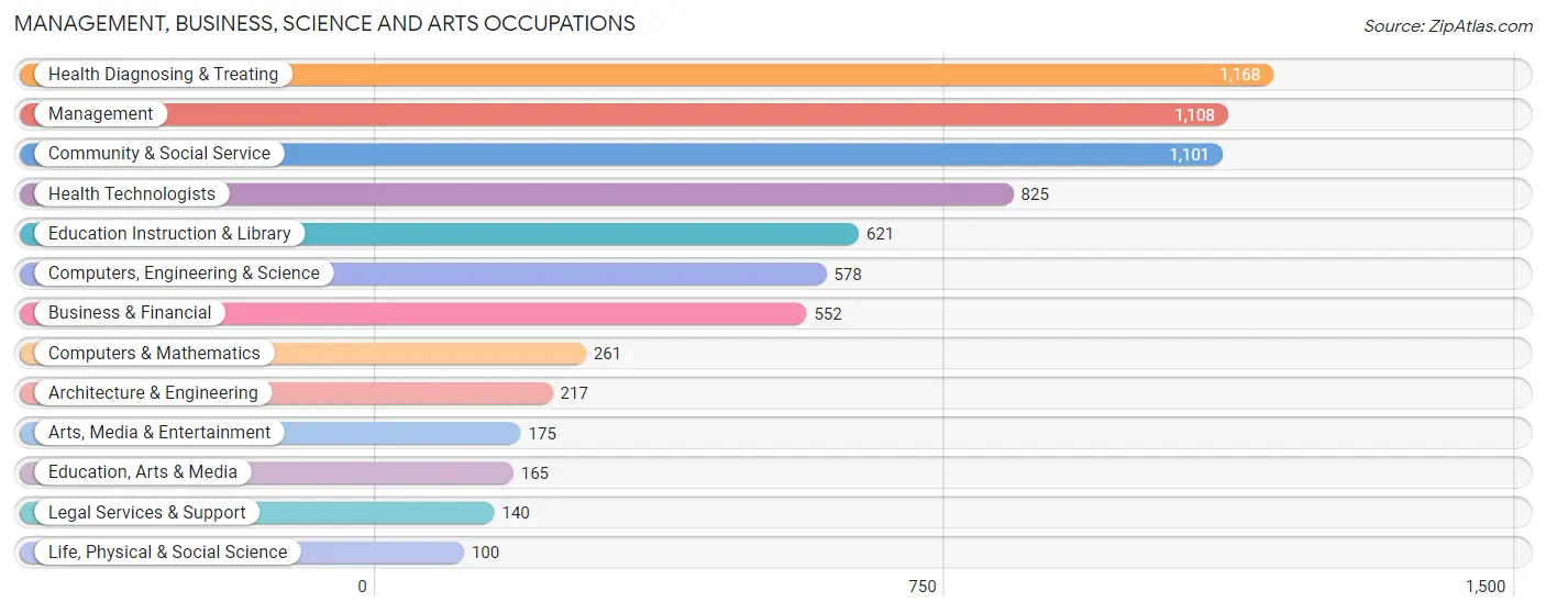 Management, Business, Science and Arts Occupations in Zip Code 55804