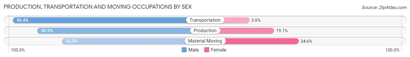 Production, Transportation and Moving Occupations by Sex in Zip Code 55804