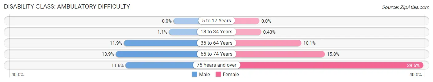 Disability in Zip Code 55807: <span>Ambulatory Difficulty</span>