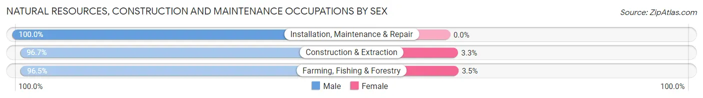 Natural Resources, Construction and Maintenance Occupations by Sex in Zip Code 55808
