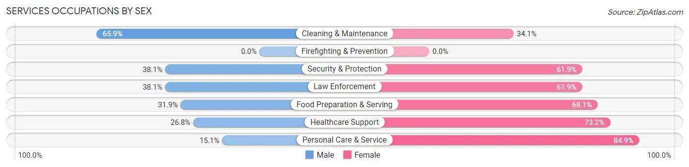 Services Occupations by Sex in Zip Code 55902