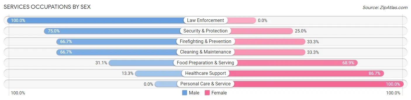 Services Occupations by Sex in Zip Code 55910