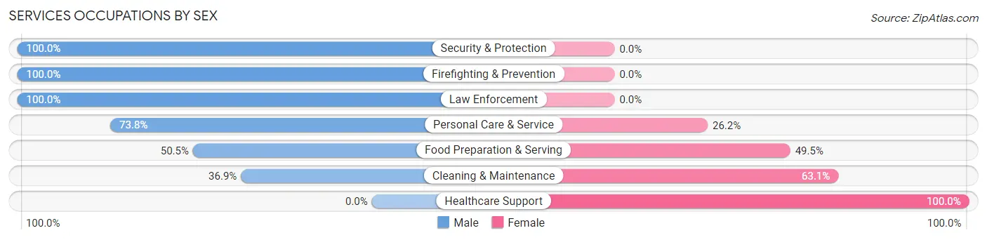 Services Occupations by Sex in Zip Code 55917