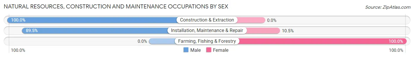 Natural Resources, Construction and Maintenance Occupations by Sex in Zip Code 55920