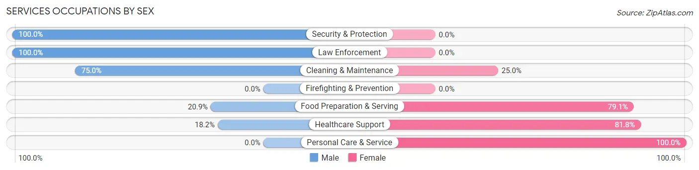 Services Occupations by Sex in Zip Code 55924