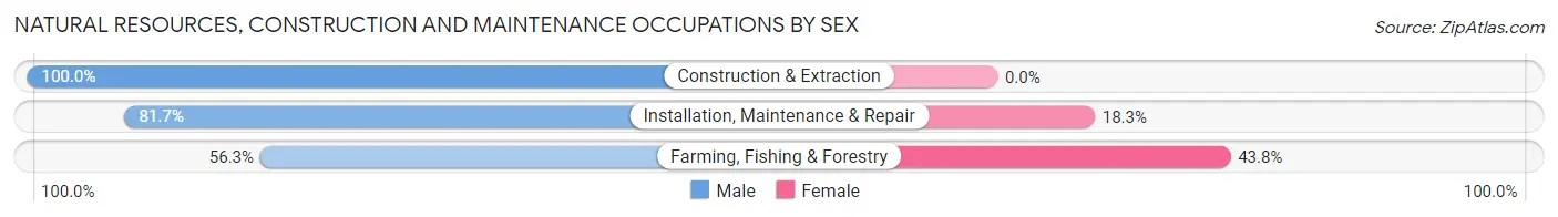 Natural Resources, Construction and Maintenance Occupations by Sex in Zip Code 55927