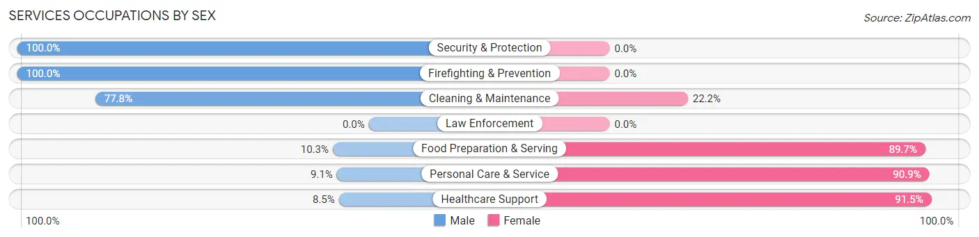Services Occupations by Sex in Zip Code 55939