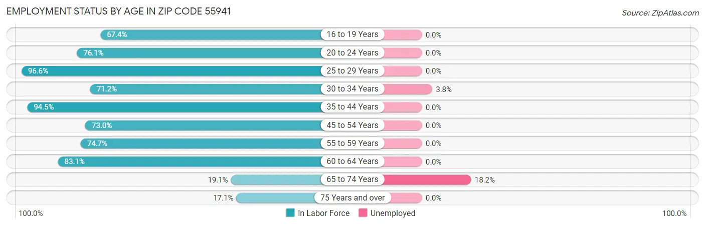 Employment Status by Age in Zip Code 55941
