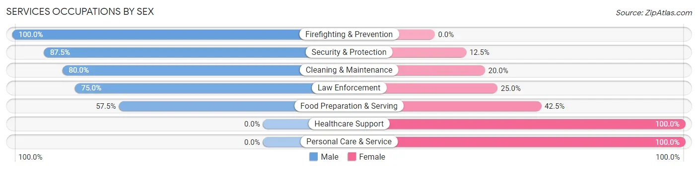 Services Occupations by Sex in Zip Code 55941