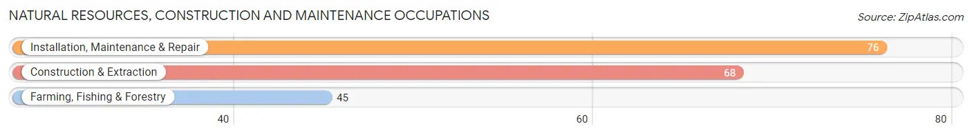 Natural Resources, Construction and Maintenance Occupations in Zip Code 55943