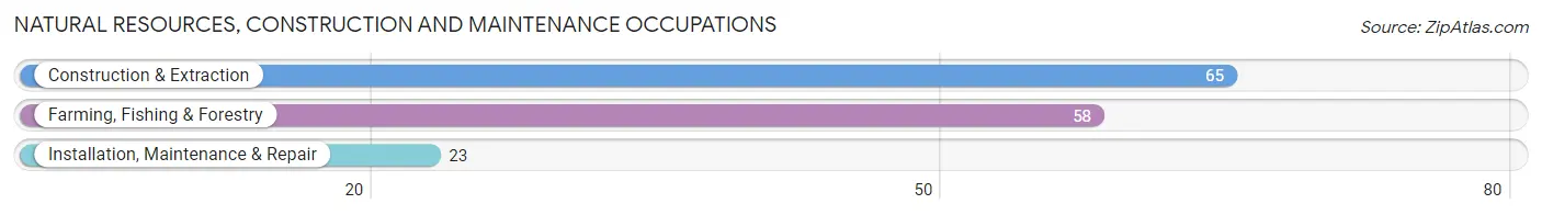 Natural Resources, Construction and Maintenance Occupations in Zip Code 55949