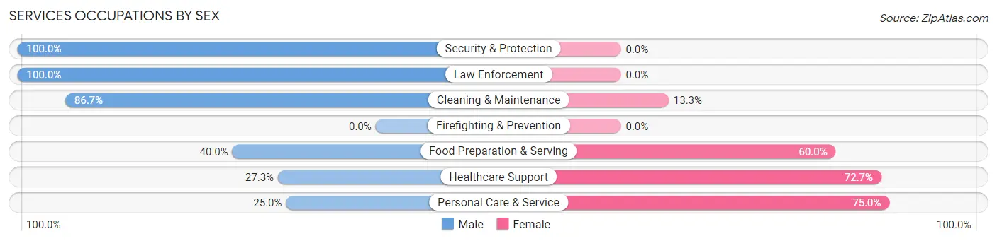 Services Occupations by Sex in Zip Code 55951