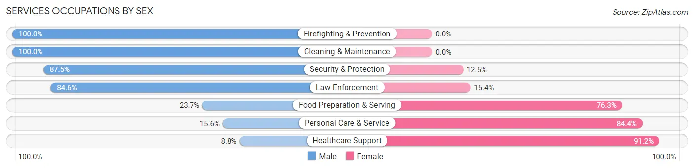 Services Occupations by Sex in Zip Code 55955