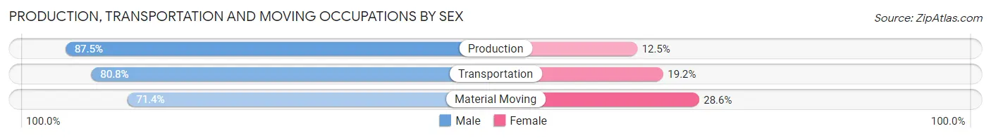 Production, Transportation and Moving Occupations by Sex in Zip Code 55969