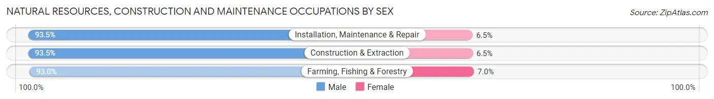 Natural Resources, Construction and Maintenance Occupations by Sex in Zip Code 55975