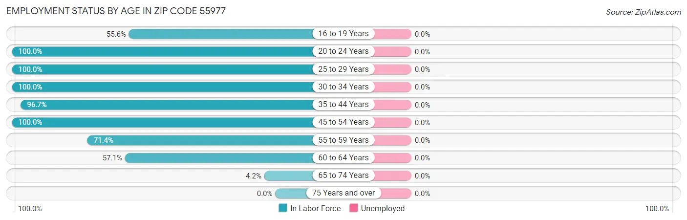 Employment Status by Age in Zip Code 55977