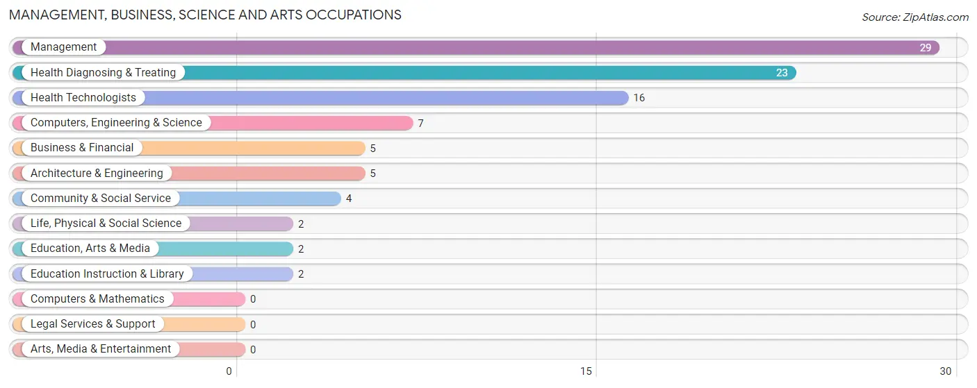 Management, Business, Science and Arts Occupations in Zip Code 55982