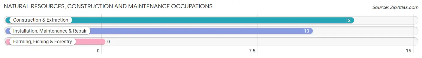 Natural Resources, Construction and Maintenance Occupations in Zip Code 55982