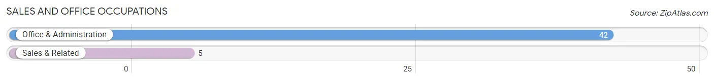 Sales and Office Occupations in Zip Code 55982