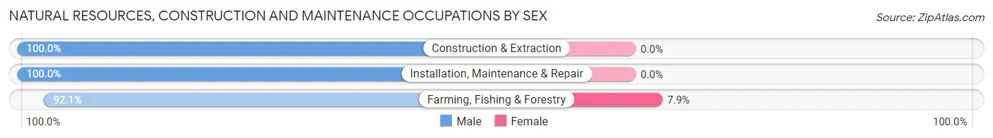Natural Resources, Construction and Maintenance Occupations by Sex in Zip Code 55983
