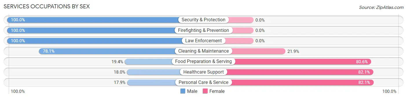 Services Occupations by Sex in Zip Code 55985