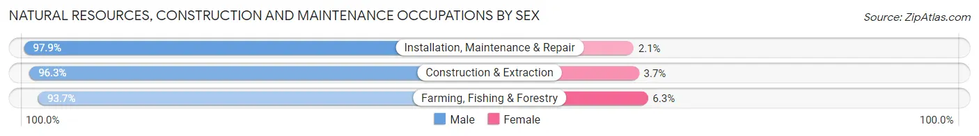 Natural Resources, Construction and Maintenance Occupations by Sex in Zip Code 55987