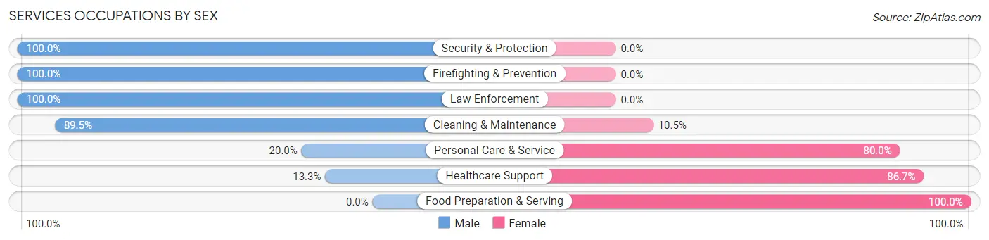 Services Occupations by Sex in Zip Code 56009