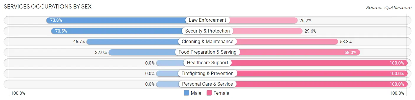 Services Occupations by Sex in Zip Code 56013