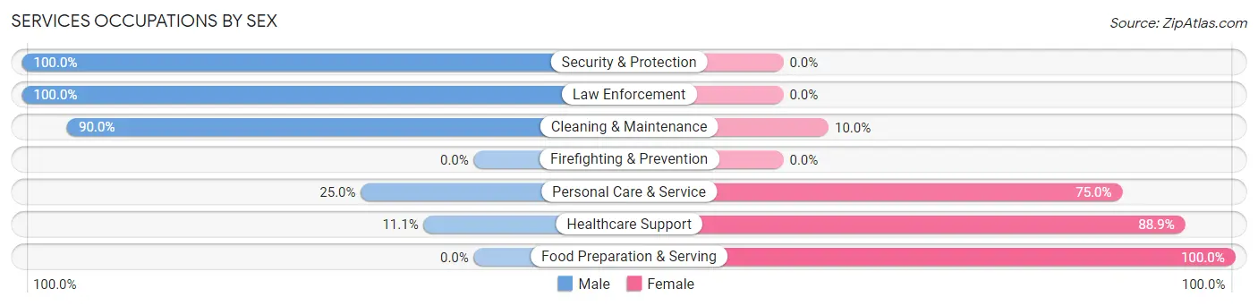 Services Occupations by Sex in Zip Code 56019