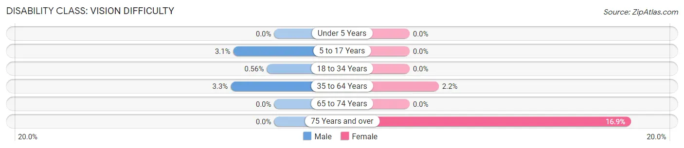 Disability in Zip Code 56026: <span>Vision Difficulty</span>