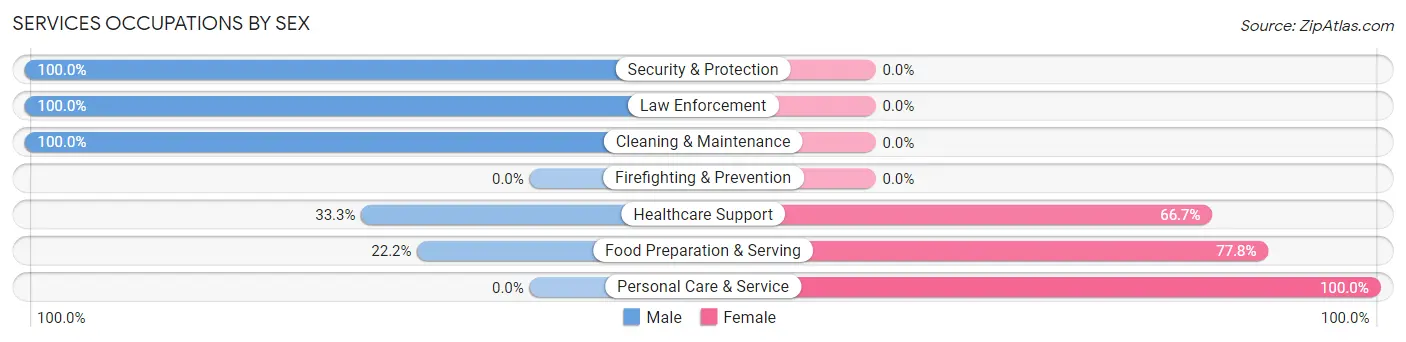 Services Occupations by Sex in Zip Code 56028