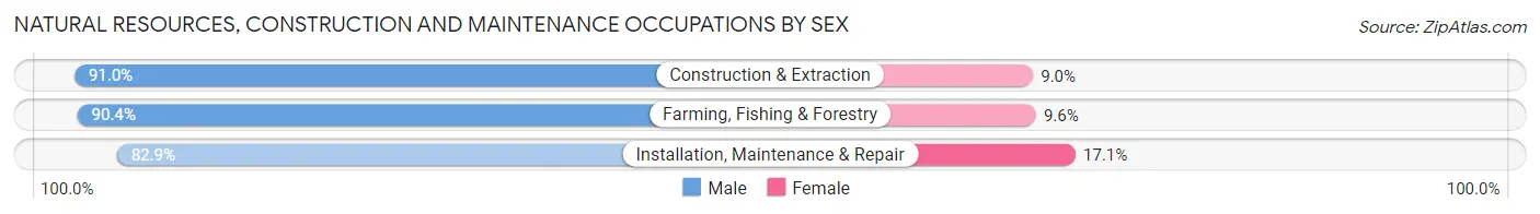 Natural Resources, Construction and Maintenance Occupations by Sex in Zip Code 56031