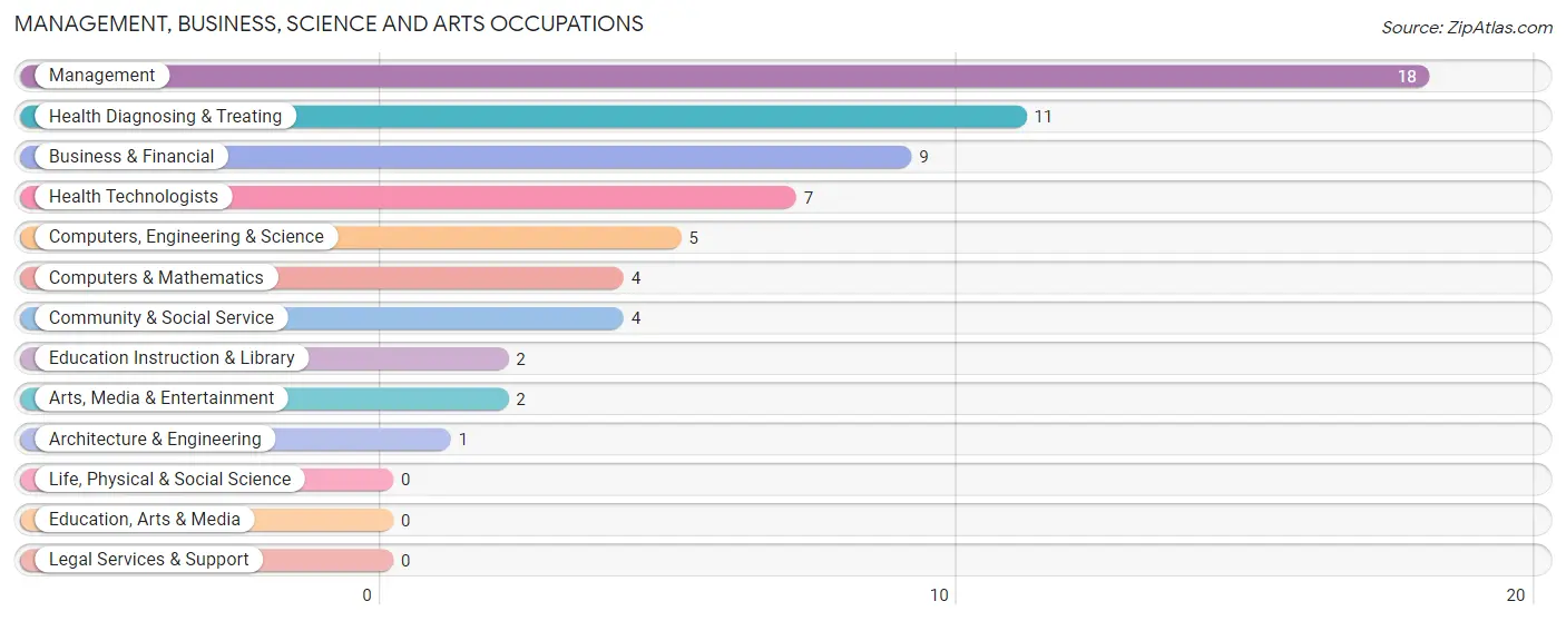 Management, Business, Science and Arts Occupations in Zip Code 56032