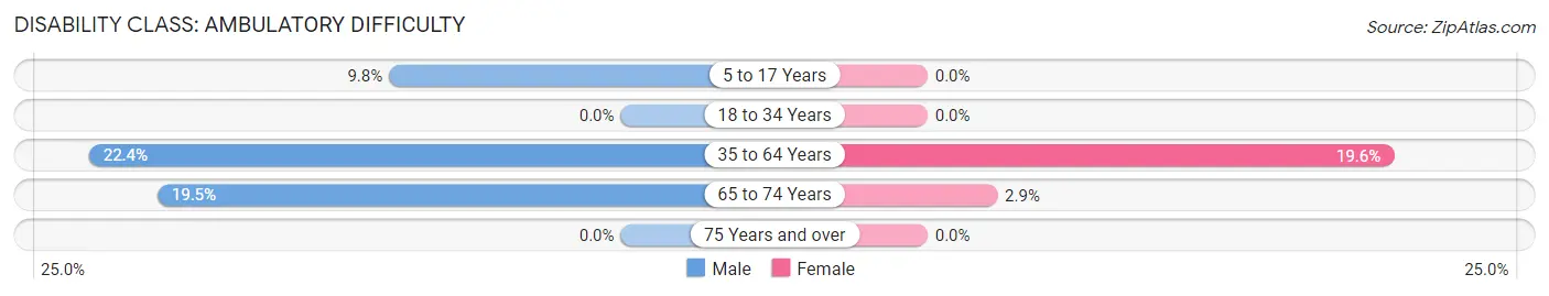 Disability in Zip Code 56033: <span>Ambulatory Difficulty</span>