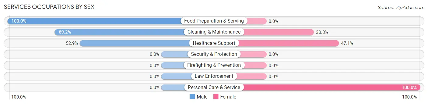Services Occupations by Sex in Zip Code 56034